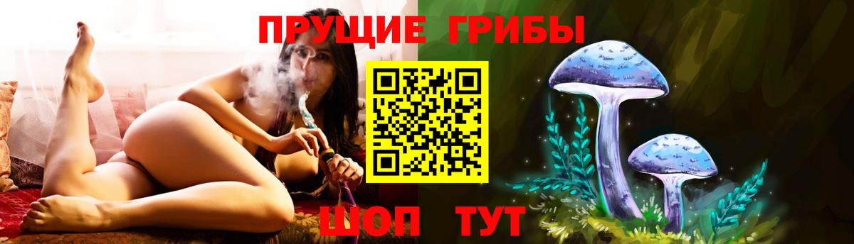 Галлюциногенные грибы Cubensis Кулебаки